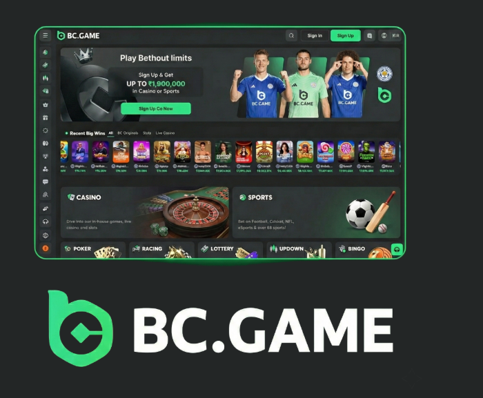 Everything You Need to Know About BC.Game Online -408943947 Everything You Need to Know About BC.Game Online -408943947